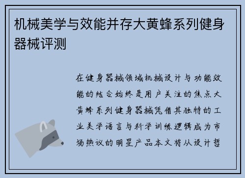 机械美学与效能并存大黄蜂系列健身器械评测